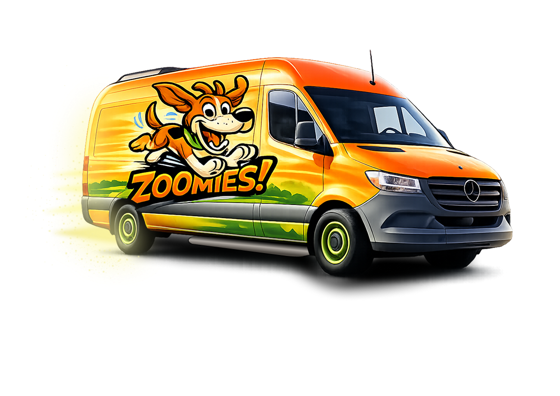 We Come to You